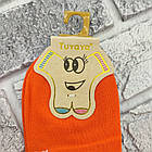 Шкарпетки дитячі короткі весна/осінь р.М кольорове асорті із зап'яточником TUYAYA 30037365, фото 4