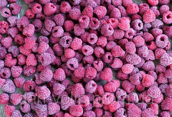 Raspberry IQF, малина заморожена