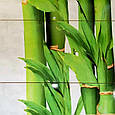 Плитка декор для ванної з малюнком бамбука, фото 3