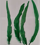Перо півня Натуральне цвіт Зелений 20-30 см, фото 9