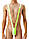 Чоловічий купальник Mankini Fluoro, сексуальні стринги (One Size), Салатовий, фото 4