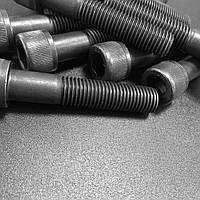 DIN 7984 Болт 8х100 із низькою циліндричною головкою 8.8 БП