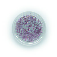 Кристали Crystal Pixie Violet 220-280 шт AVADONA