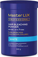 Пудра, що освітлює White Master LUX professional 500 г