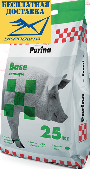 Кормовая добавка для свиней Purina Base 10кг универсальное бмвд старт-15% гровер-12,5% финиш-10% - фото 1 - id-p1762257628