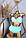 Купальник жіночий роздільний ПОЯС норма 38-46 рр, колір уточнюйте під час замовлення, фото 5