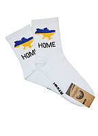 Шкарпетки чоловічі демісезонні патріотичні "HOME" 41/44