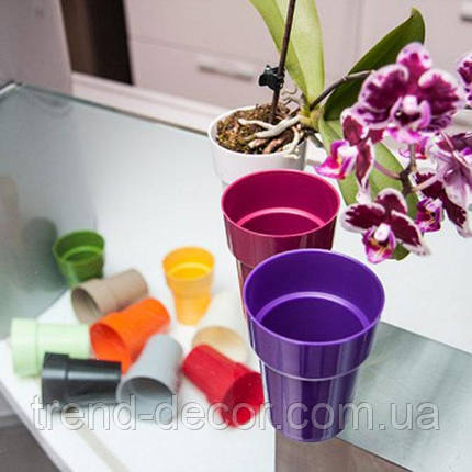 Горщик пластмасовий Классік Кактус фіолетовий 6см., фото 3