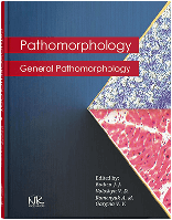 Pathomorphology. General Pathomorphology = Патоморфологія. Загальна патоморфологія // Боднар Я. Я.