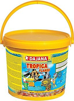 Корм Dajana Tropica Basic 18000 ml. Корм в состоящий из 7 видов хлопьев на каждый день