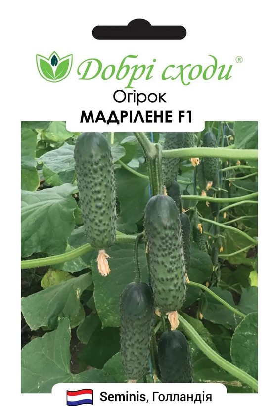 Огірок Мадрілене Ф1 10 шт