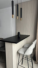 Стінові рейкові панелі під фарбування в інтер'єрі 1