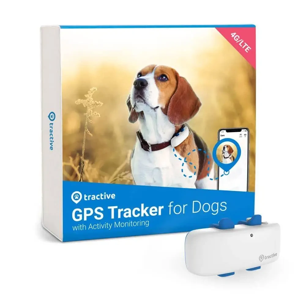 Купить GPS-трекер для собак Tractive GPS DOG 4G LTE(БЕЗ ЗАРЯДКИ ...