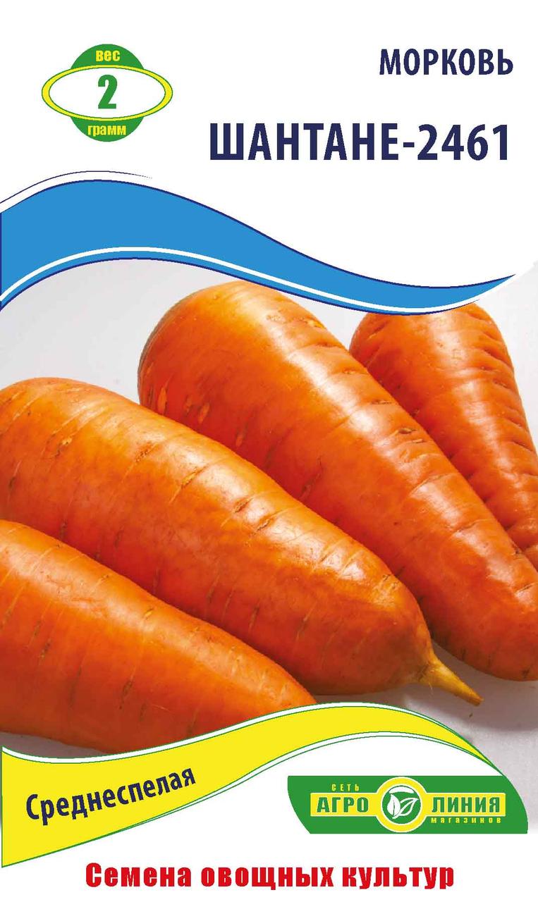 Насіння моркви «Шантане 2461» 2 г