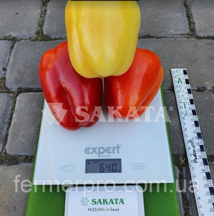 Насіння перцю Салана F1 \ Salana F1 500 насінин Sakata, фото 1