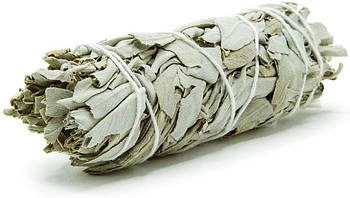Каліфорнійська Шавлія біла (White Sage), розмір M