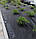 Агроволокно Agreen 50 чорне (1,07 х 100 м), агроволокно мульчуюче, фото 7