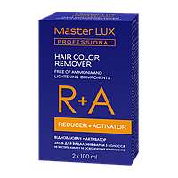 Засіб для видалення фарби з волосся Master LUX Professional 2 шт 100 мл (19220Es)