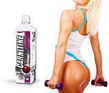 Л-карнтини Vision Nutrition L-160.000 Carnitine 1200ml, фото 2