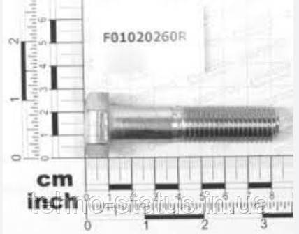 F01020260 Болт M16х2х70
