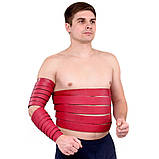 Ляпко «Чарівна стрічка «Здоров'я» 4,3 Ag, 1п. + 2п., 9-сегментна, фото 6