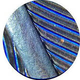 Мікроскоп портативний кишеньковий SIGETA MicroGlass 40x, фото 11