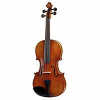 Karl Höfner Allegro 4/4 Violin Outfit