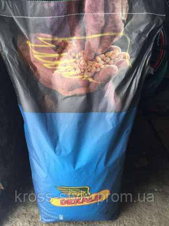 Насіння кукурудзи, MONSANTO, ДКС 4608, ФАО 380