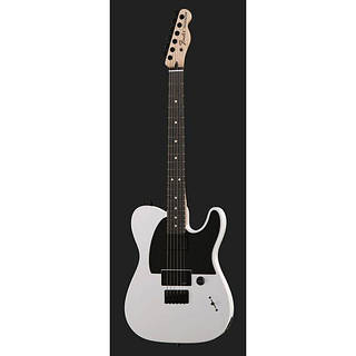 Fender Jim Root Telecaster Flat White, ціна: 93180