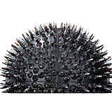 Ляпко М'ячик голчастий 4.0 Ag, фото 4