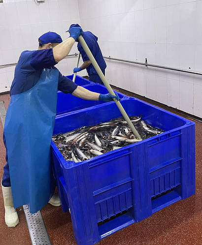 Пластиковый контейнера для рыбы 120*100*74 см., цена 11367.74 грн ...