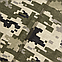 Лонгслів Cotton MM14, фото 7