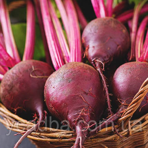 Насіння Буряка Селянське (3г), фото 1