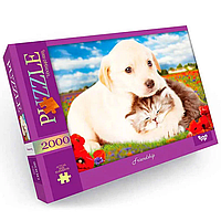Пазл "Friendship" Danko Toys C2000-01-09, 2000 эл. от IMDI