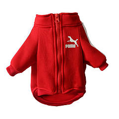 Спортивна кофта для собак Pet Style "Sport" Червона S