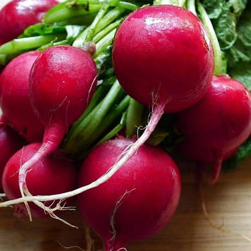 Насіння Редісу Гравець (3г)