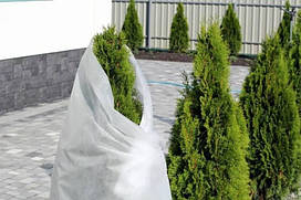 Агроволокно Growtex 50 г/м2 3,2м х 100м біле, покривне агроволокно від заморозків