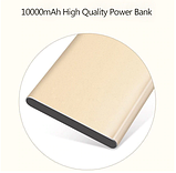 Ультратонкий PowerBank Travel 10,000 mAh з екраном! Потужний, стильний, зручний!, фото 9