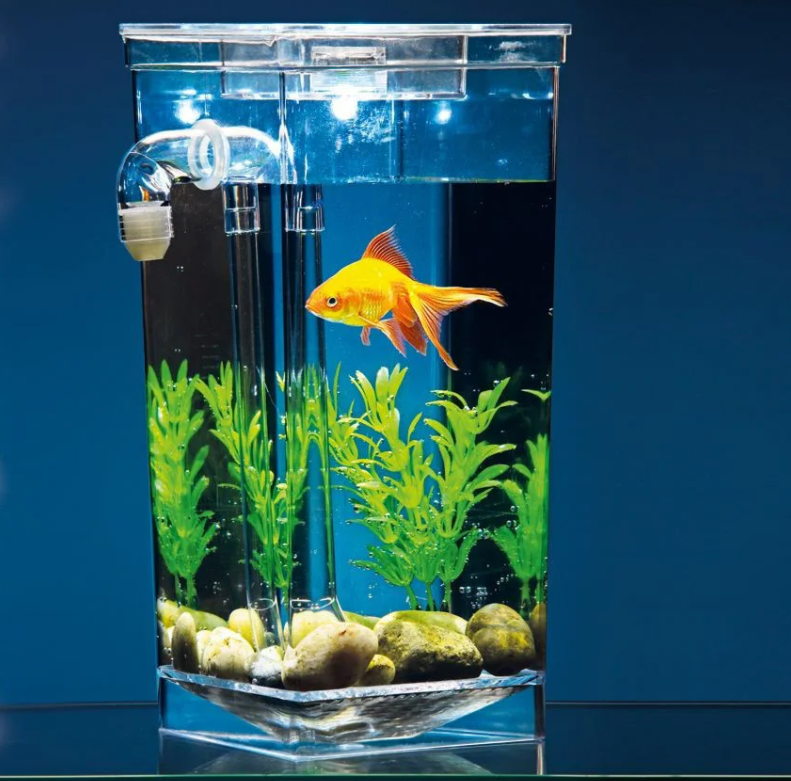 Самоочисний акваріум для рибок "My Fun Fish"