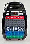 Колонка-валіза Golon RX-810BT зі світломузикою, з мікрофоном +bluetooth, фото 3