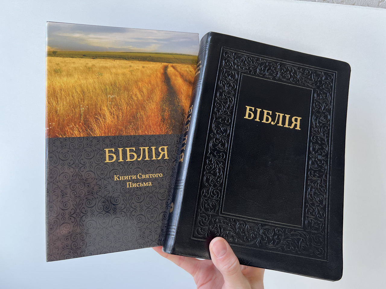 Подарункова Біблія, Книги Святого Письма, у картонному футлярі 17,5х24,5 см, чорна, з тисненням