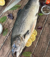 Лосось ~4-6 кг з головою