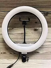 Кільцева лампа LED QX 200 діаметр 20 см 8" з тримачем для смартфона USB 8 Вт., фото 4