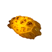 Фигурка Черепашки из натурального янтаря 46,6 г ShamanShop (F3601-04)