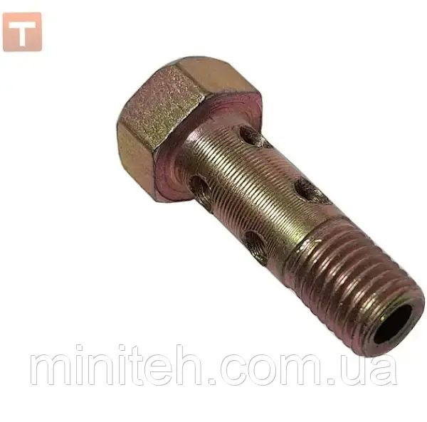 Болт (штуцер)8x1(2отв.)