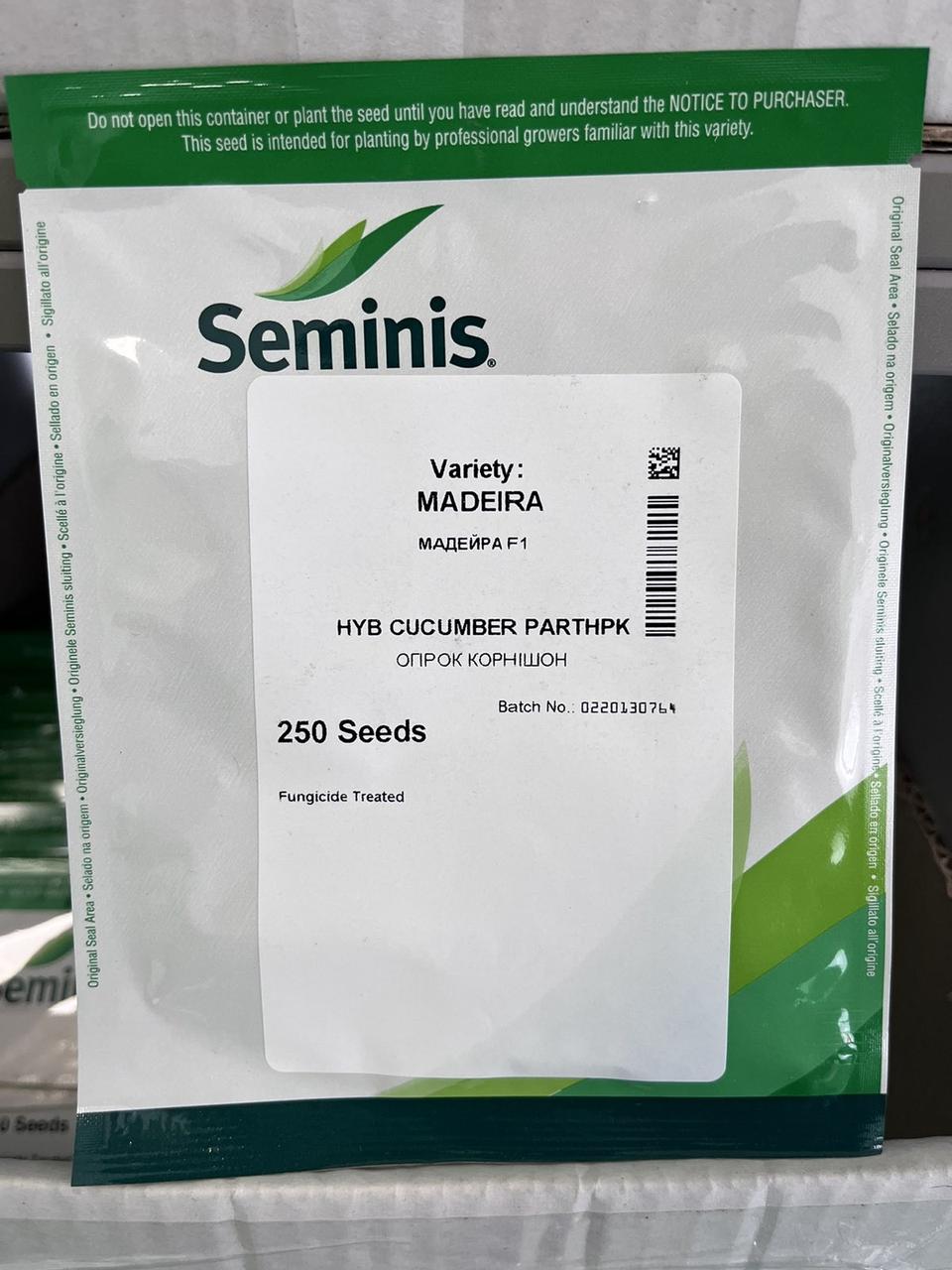 Огірок Мадейра F1 250 шт (Seminis)