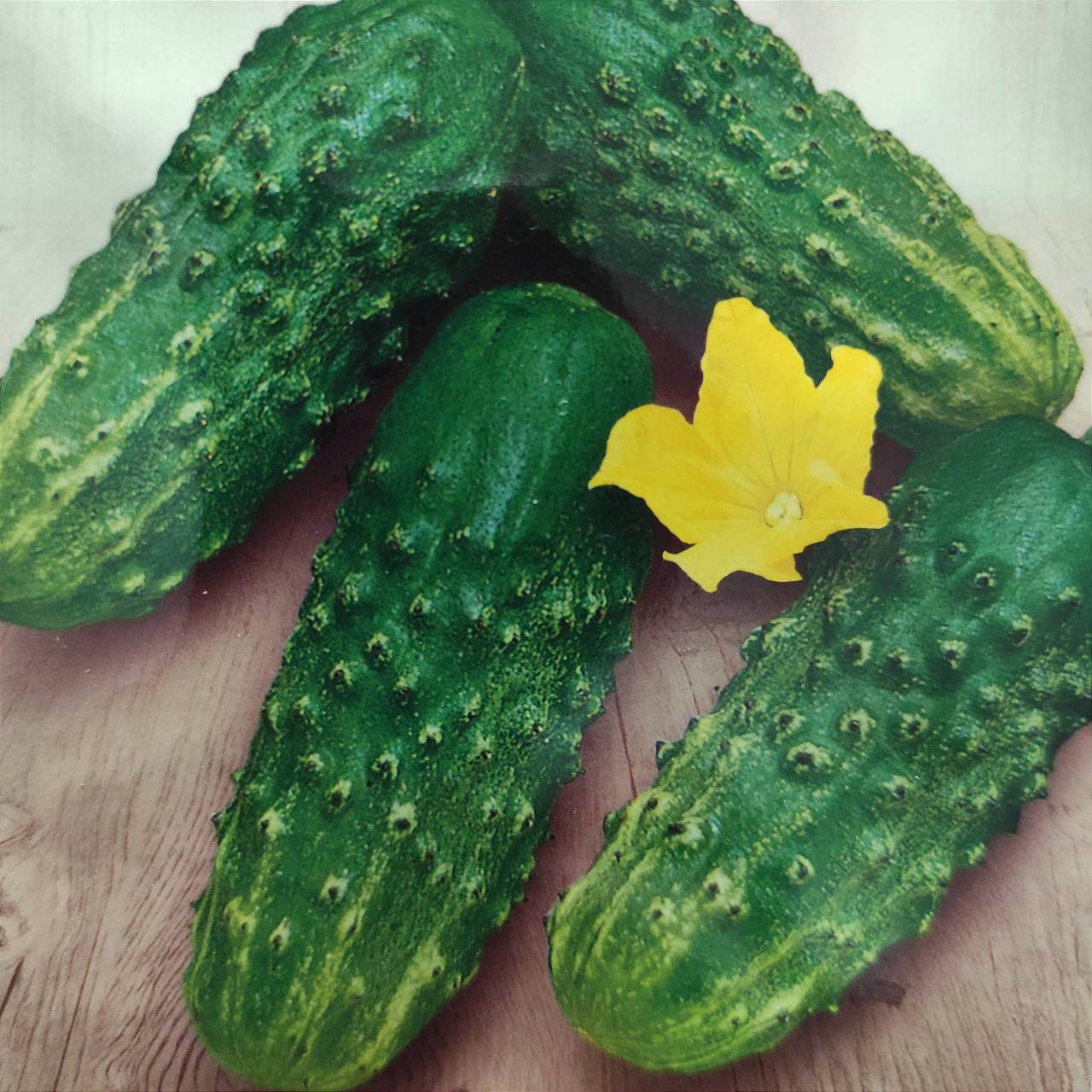 Насіння огірок Анулька Ф1 5г