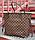 Сумка Neverfull Damier Ebene Canvas Louis Vuitton (Луі Вітон Неверфул Канва), фото 3