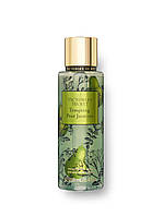 Спрей Victoria's Secret Tempting Pear Jasmine (Виктория Секрет)