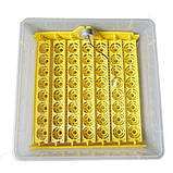 Інкубатор автоматичний (HHD 56 220/12V), фото 3